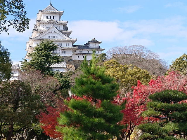 姫路市立美術館入り口近くから姫路城の眺め