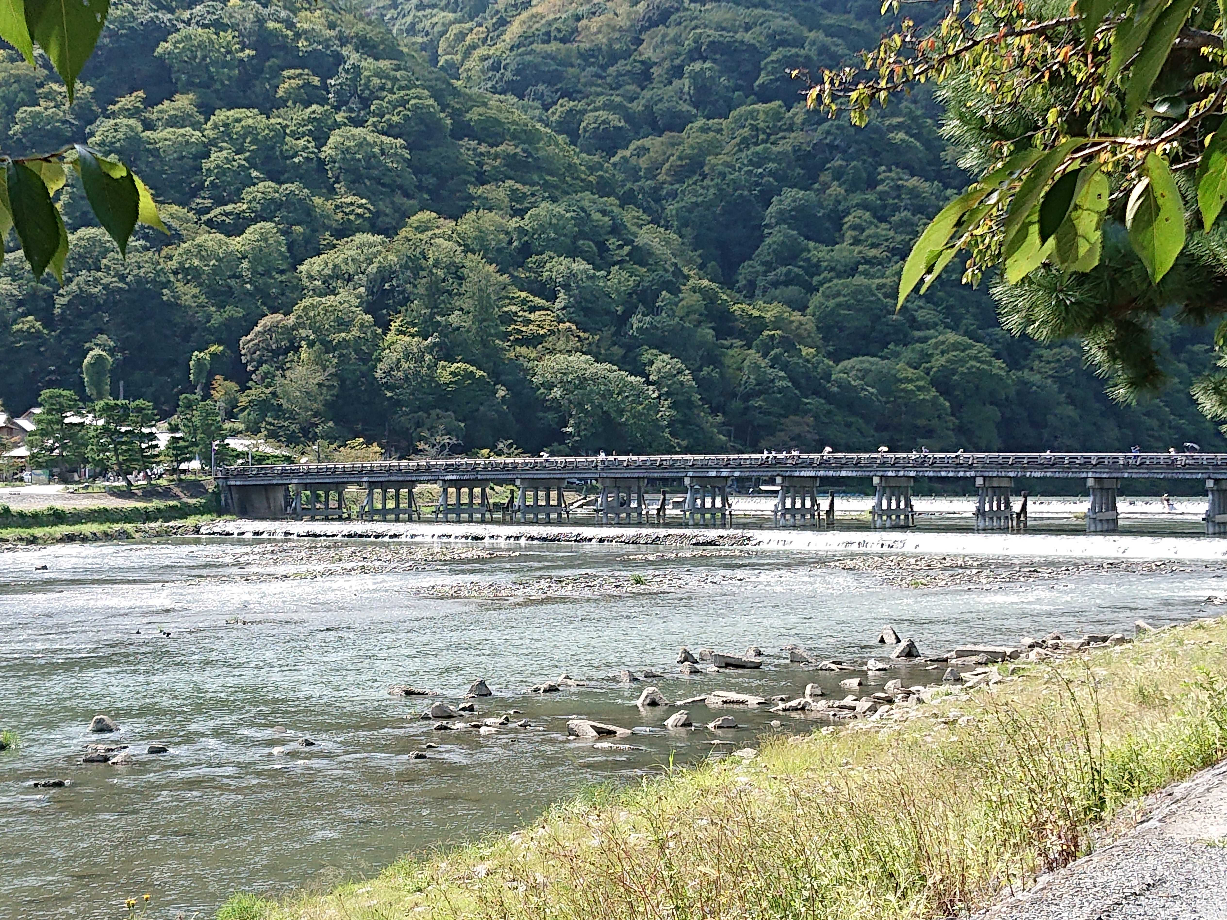桂川　渡月橋