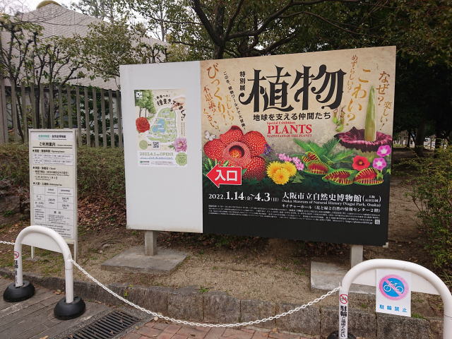 大阪市立自然史博物館「植物　地球を支える仲間たち」